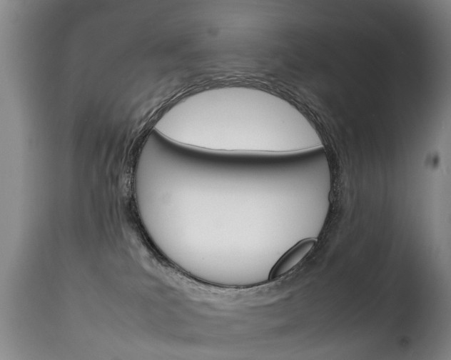 X0000111230039200907021035
