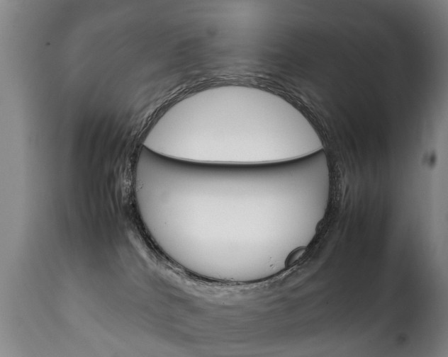X0000111230040200907021035