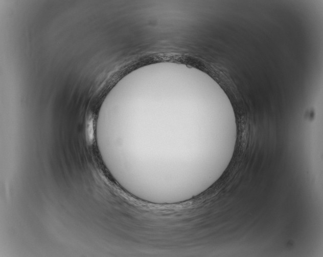 X0000111230042200907021035