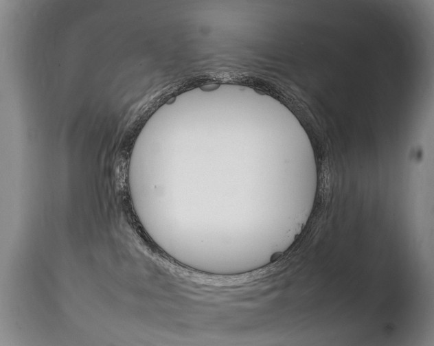 X0000111230043200907021035
