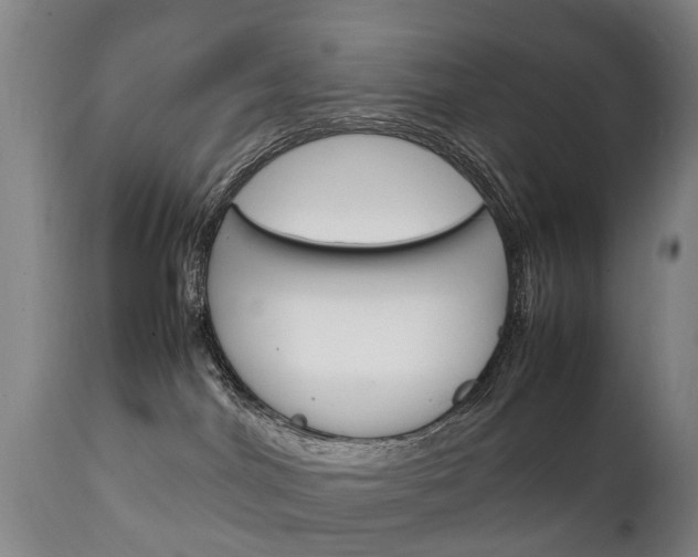 X0000111230044200907021035