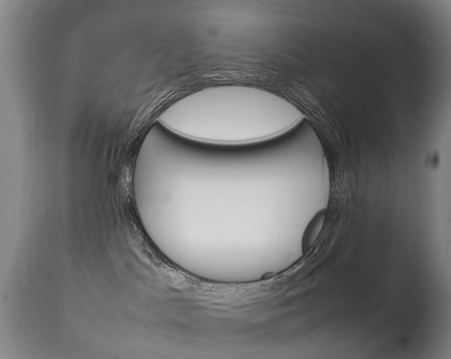 X0000111230045200907021035