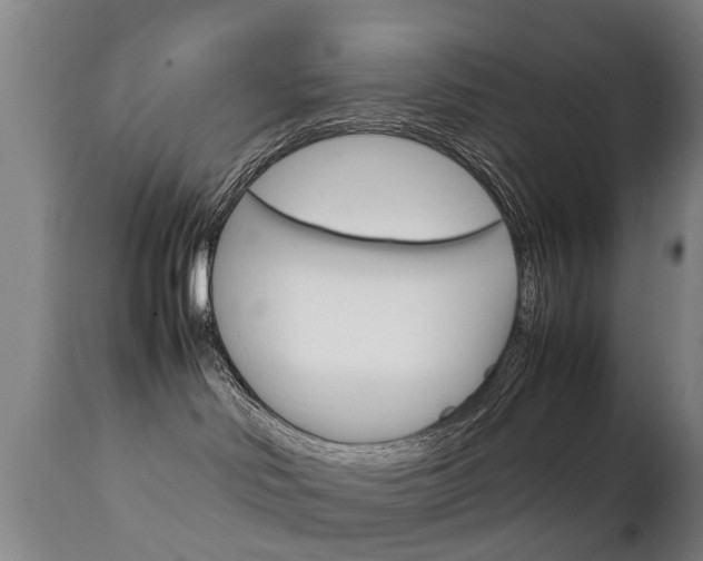 X0000111230046200907021035