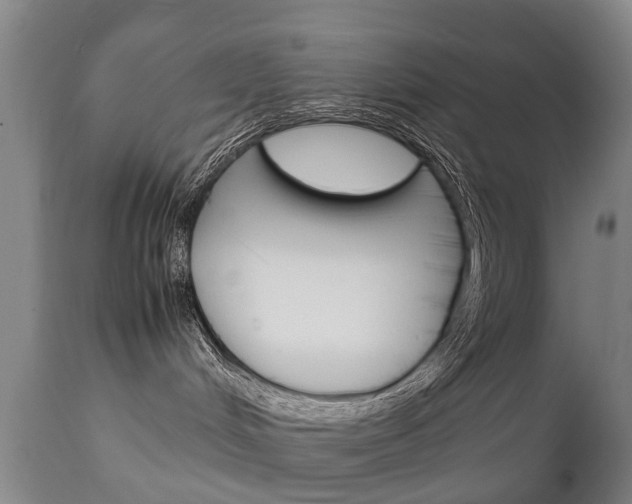 X0000111230048200907021035