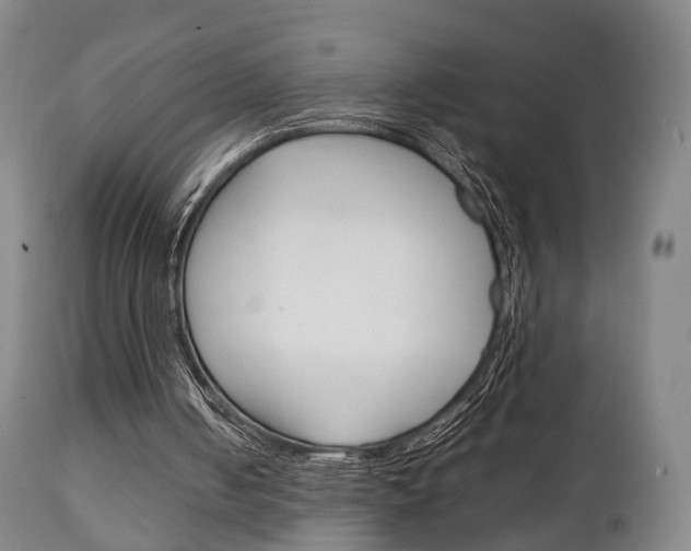 X0000111230050200907021034