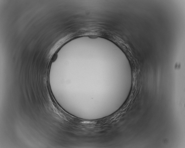 X0000111230051200907021034
