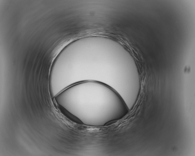 X0000111230052200907021034