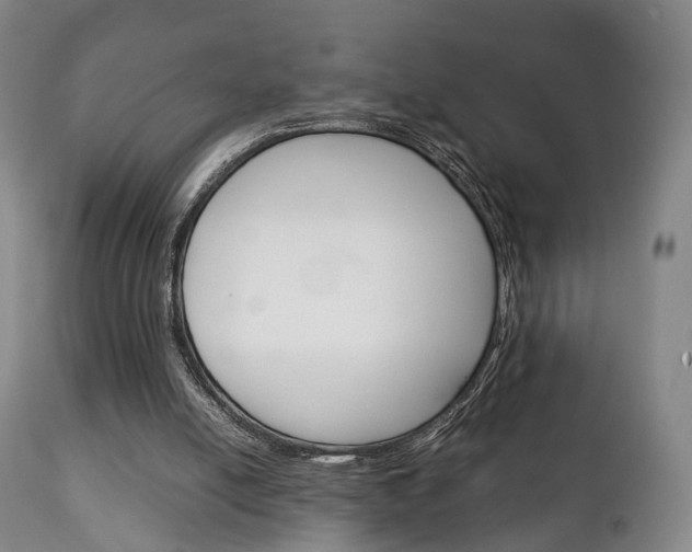 X0000111230054200907021034