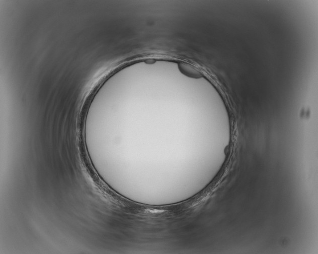 X0000111230055200907021034
