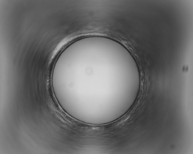 X0000111230056200907021034