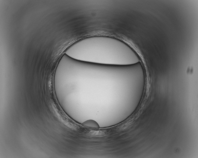 X0000111230057200907021034