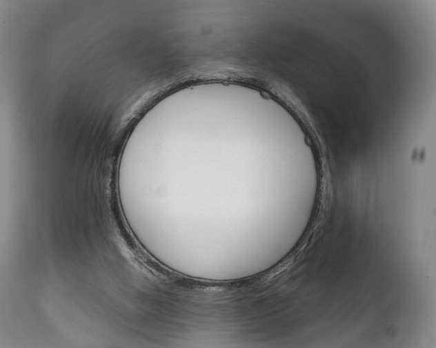 X0000111230058200907021034