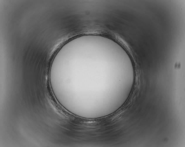 X0000111230059200907021034