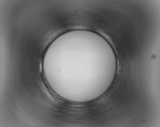 X0000111230061200907021034