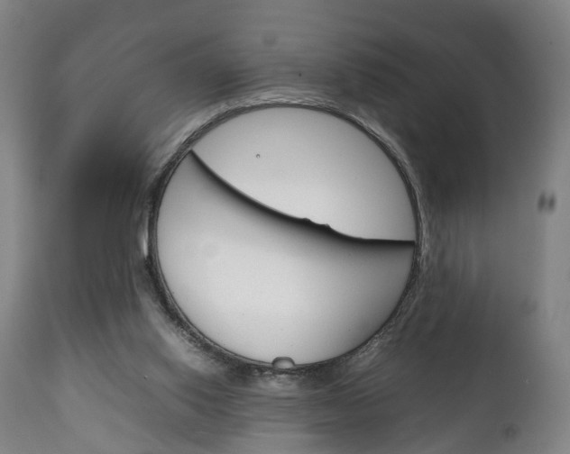 X0000111230062200907021034