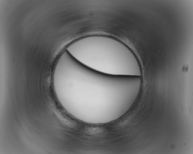 X0000111230063200907021034