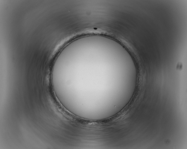 X0000111230064200907021034