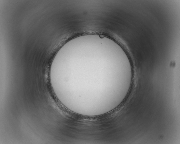 X0000111230065200907021034