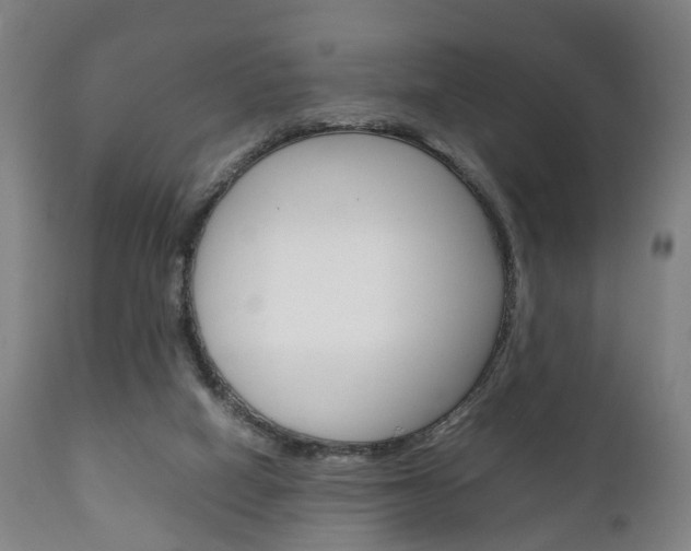 X0000111230066200907021034