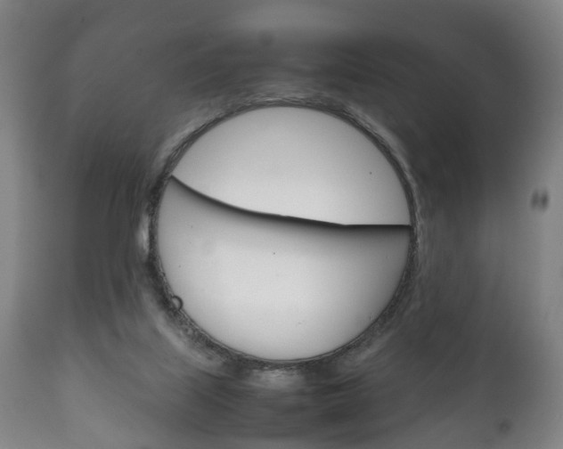 X0000111230067200907021034