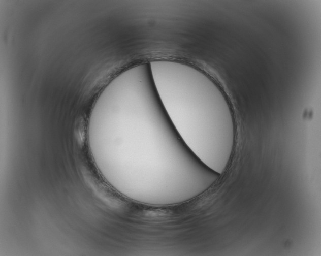 X0000111230069200907021034