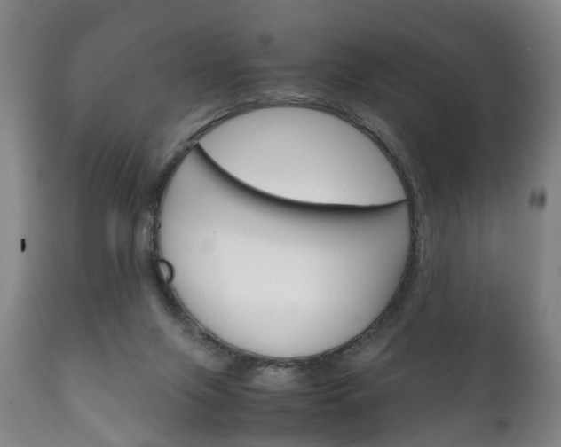 X0000111230071200907021034