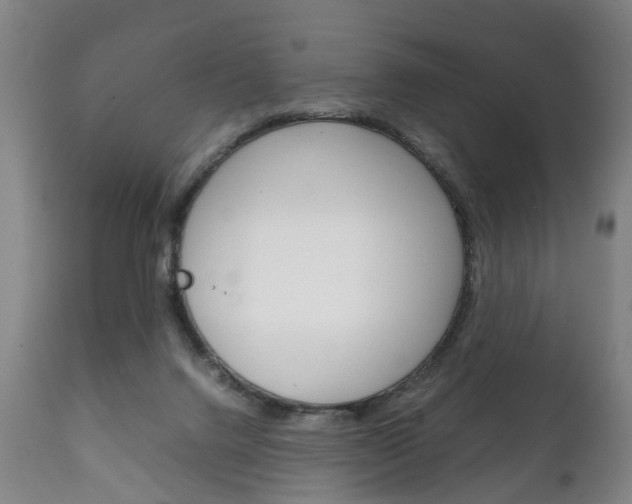 X0000111230072200907021034