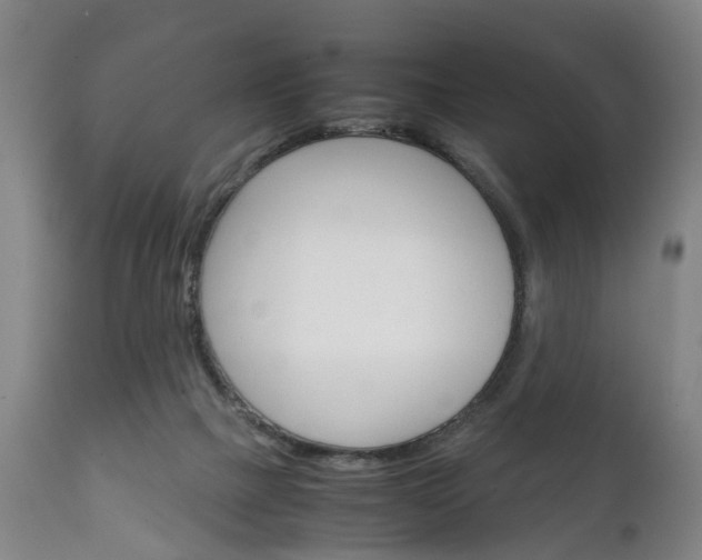 X0000111230073200907021034