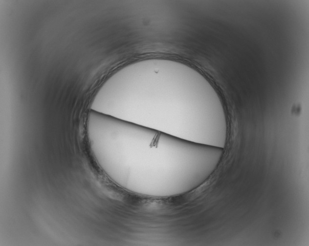 X0000111230074200907021034