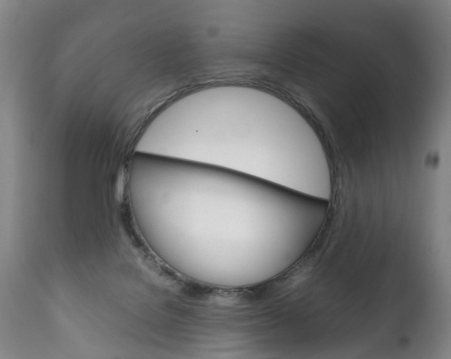 X0000111230076200907021034