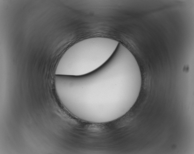 X0000111230077200907021034