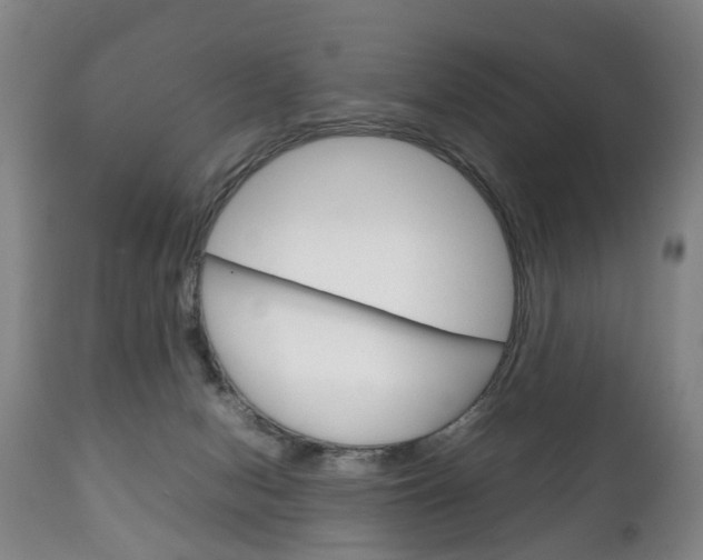 X0000111230078200907021034