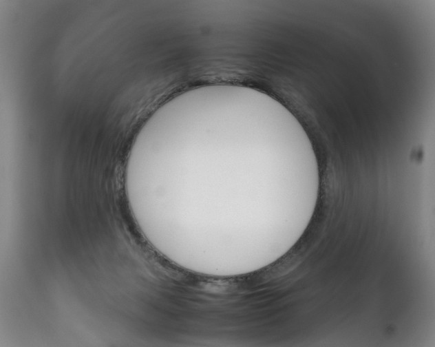 X0000111230079200907021034