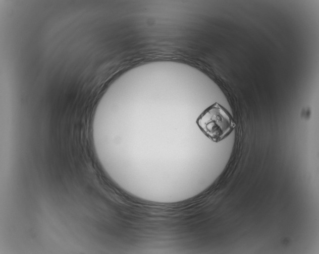 X0000111230080200907021034
