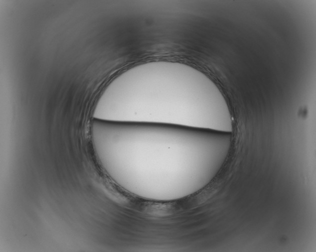 X0000111230081200907021034