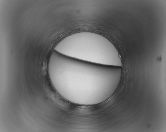X0000111230082200907021034