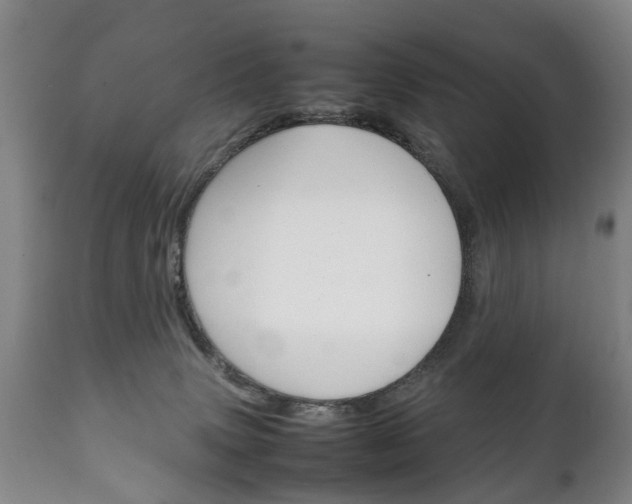 X0000111230083200907021034