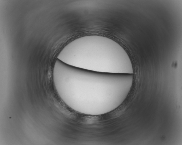 X0000111230085200907021034