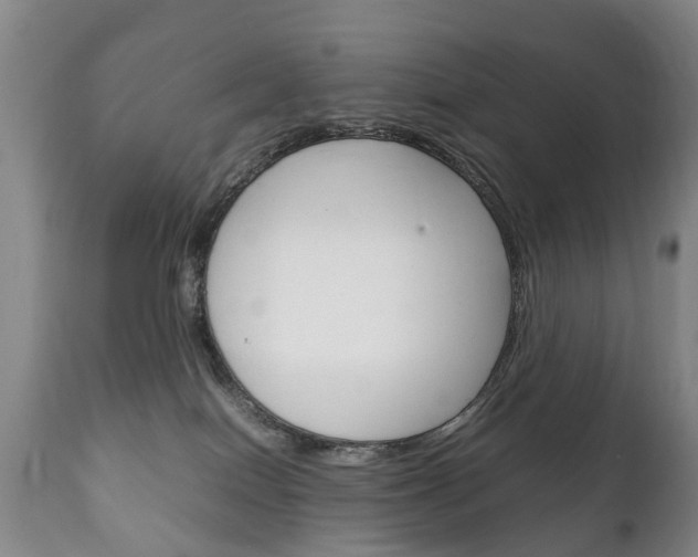 X0000111230086200907021034