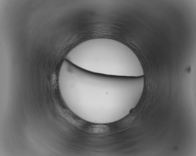 X0000111230087200907021034