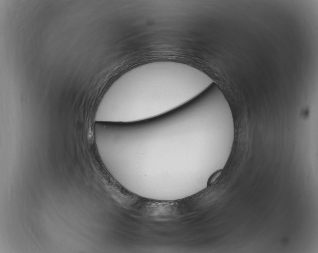 X0000111230089200907021034