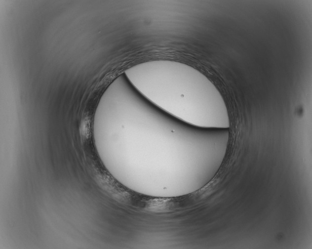 X0000111230090200907021034