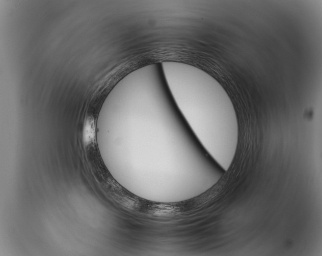 X0000111230095200907021034