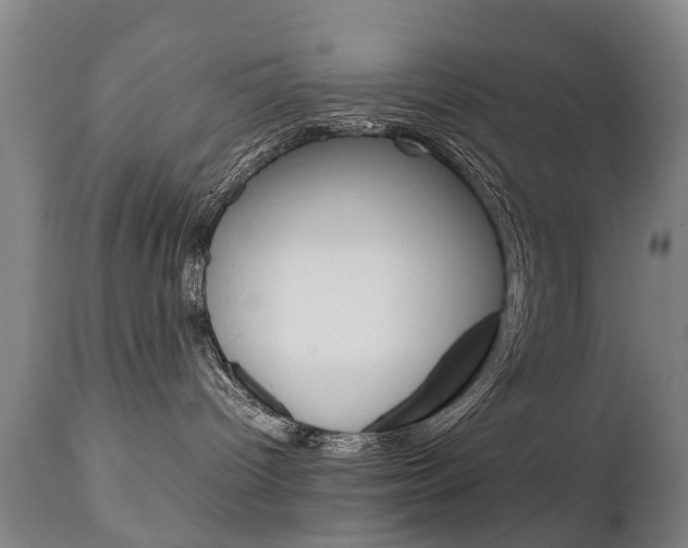 X0000111230096200907021035