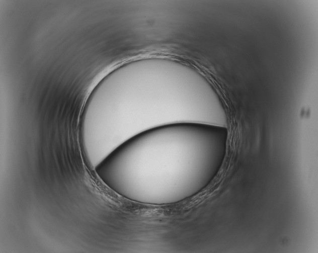 X0000111230100200907021034