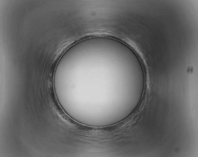 X0000111230105200907021034