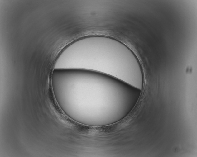 X0000111230109200907021034