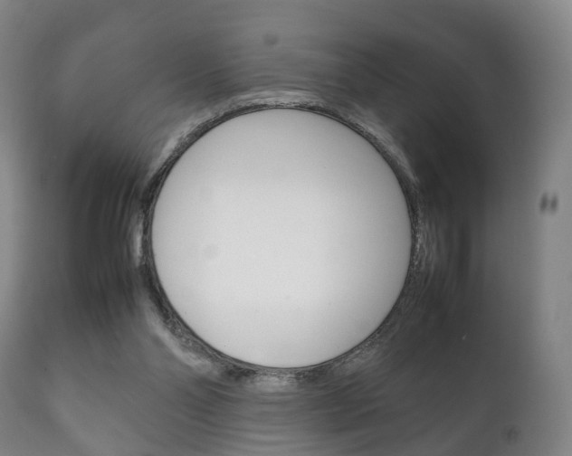 X0000111230110200907021034