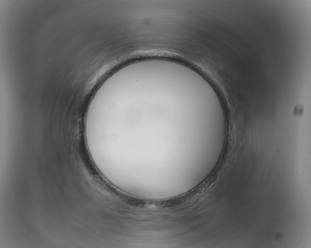 X0000111230111200907021034