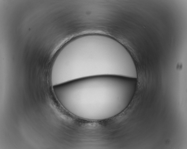 X0000111230112200907021034